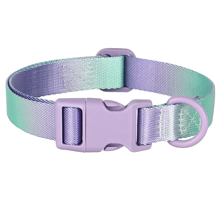 Colorful Printed Nylon Dog Collar