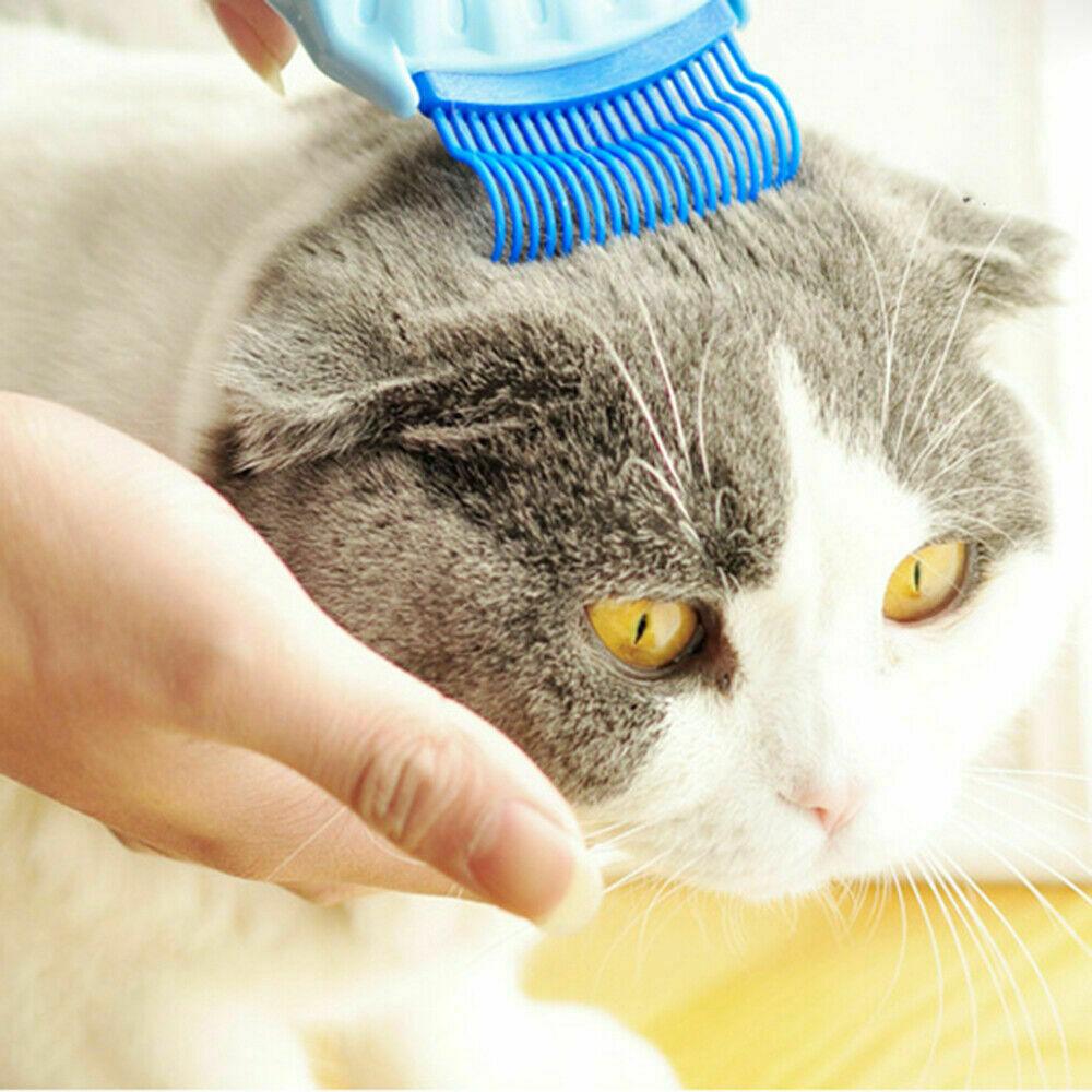 Pet Massage Shell Brush - Trendha