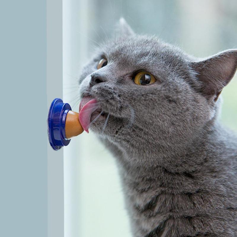 Cat's Licking Snack - Trendha