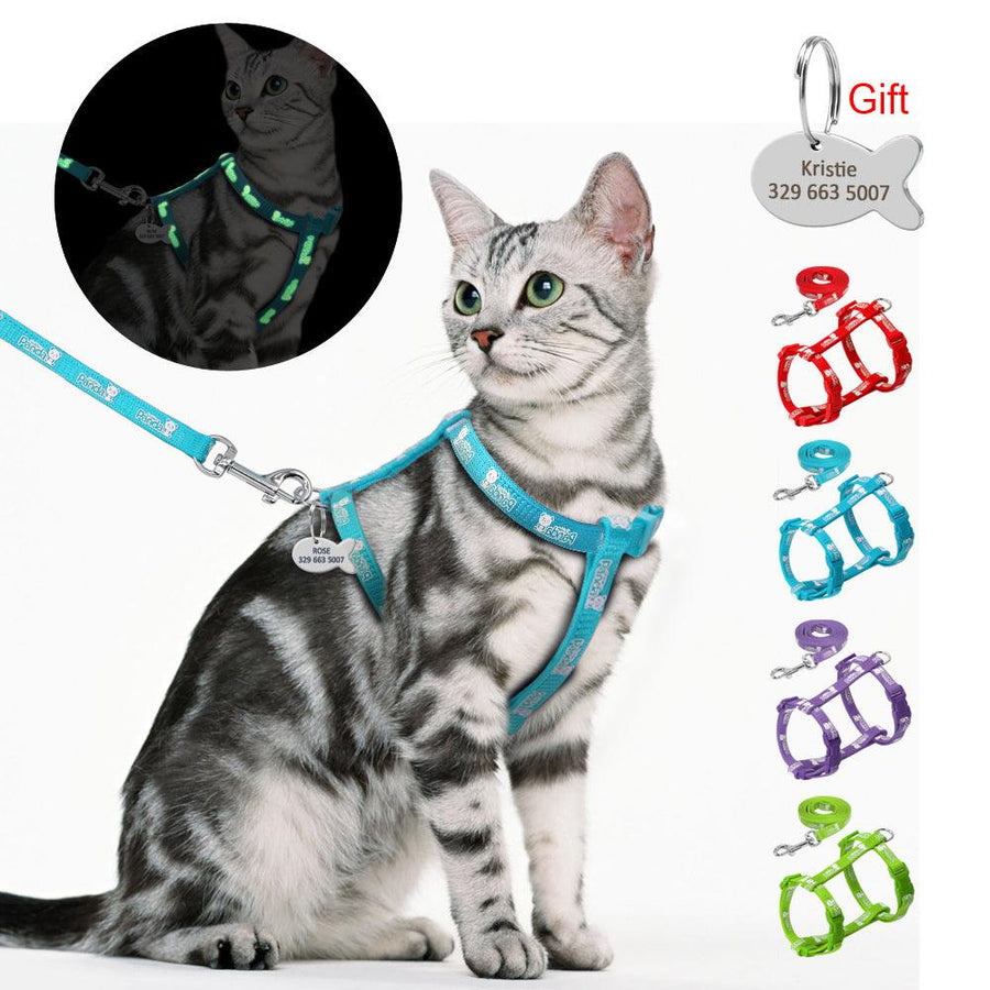 Cat's Luminous Harness And Leash Set - Trendha