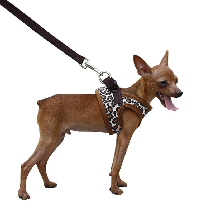 Cute Fashion Leopard Dog's Harness - Trendha