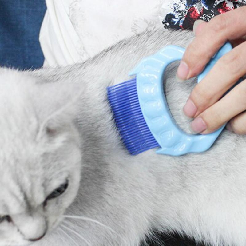 Pet Massage Shell Brush - Trendha