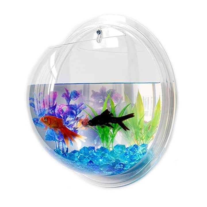 Hanging Globular Acrylic Aquarium - Trendha