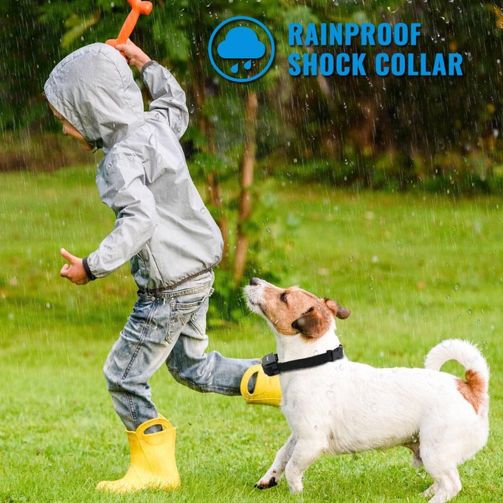 Petrainer Remote Electric Rainproof Dog Training Collar With LCD Display - Trendha