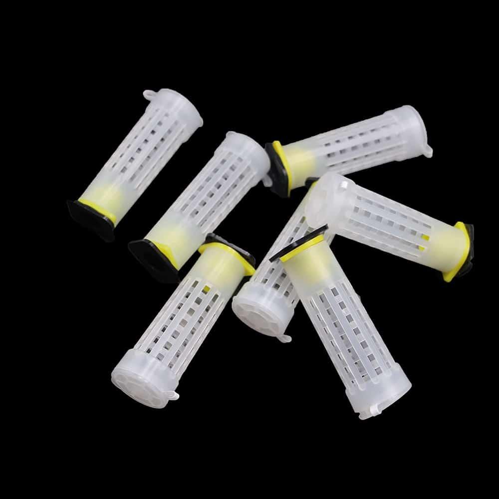 Queen Rearing Kit 50 pcs Set Cages Cups - Trendha