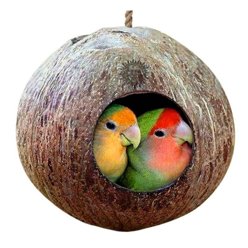 Small Bird Nesting House - Trendha