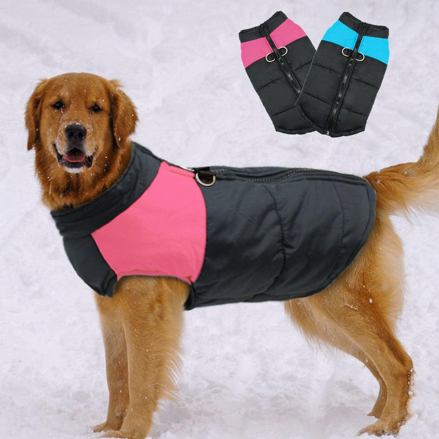 Winter Jacket For Small/Big Dogs - Trendha